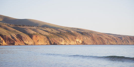 Honeycomb | Sellicks Beach SA